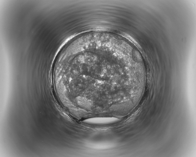 X0000084530891200703161606