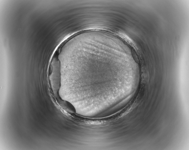 X0000084530892200703161606