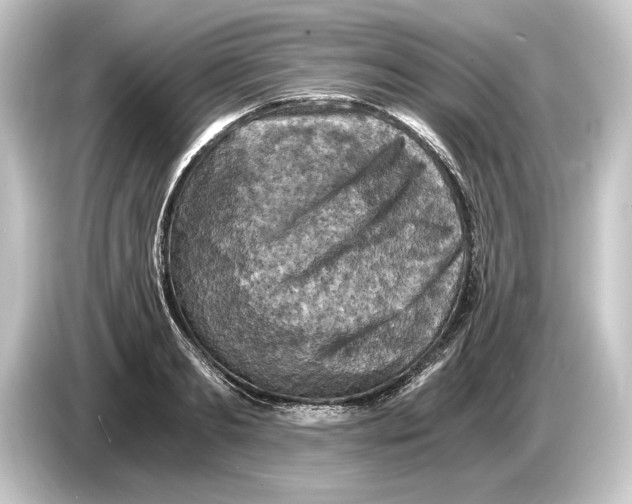 X0000084530893200703161606