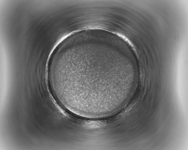 X0000084530894200703161606