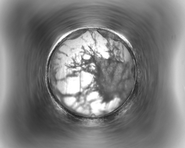 X0000084530895200703161606