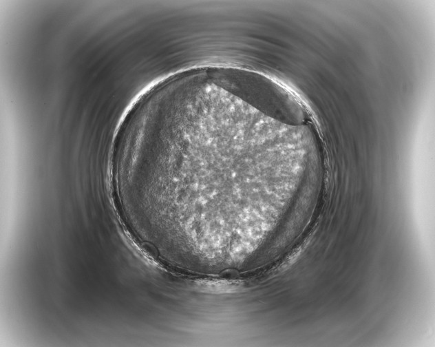 X0000084530896200703161606