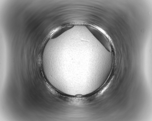 X0000084530897200703161606