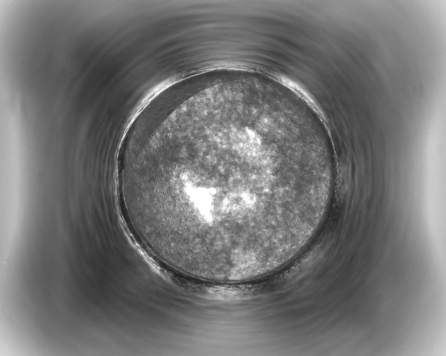 X0000084530898200703161606