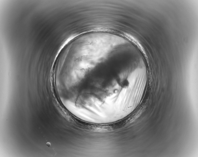 X0000084530899200703161606