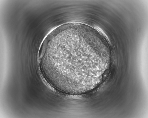 X0000084530900200703161606