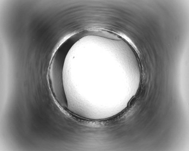 X0000084530901200703161606