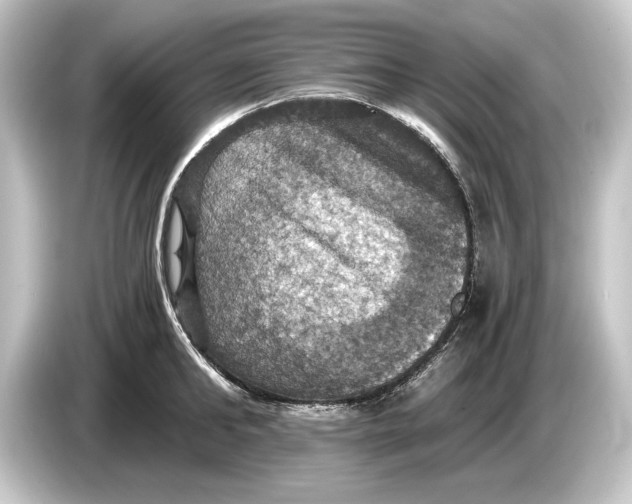 X0000084530902200703161606