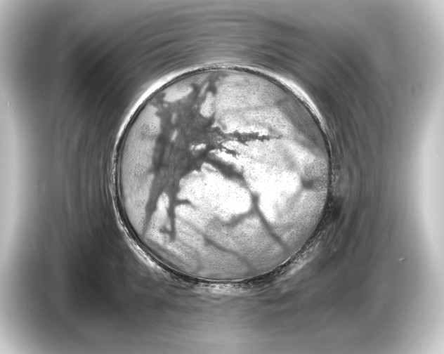 X0000084530903200703161606