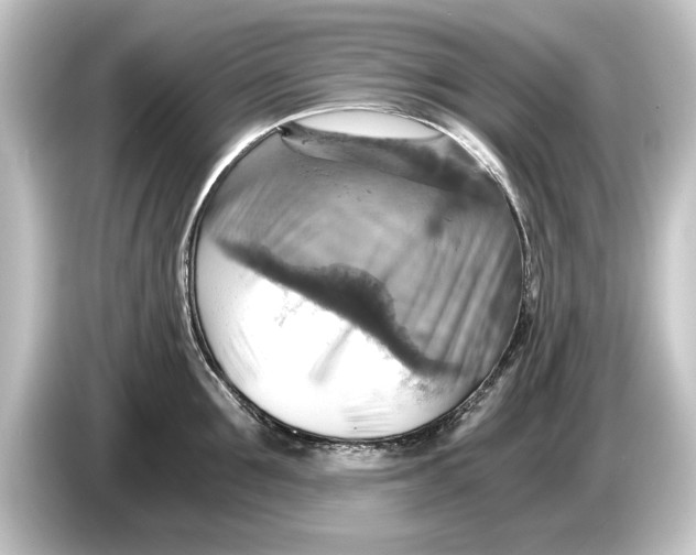 X0000084530907200703161606