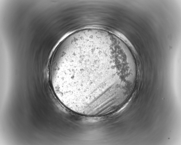 X0000084530908200703161606