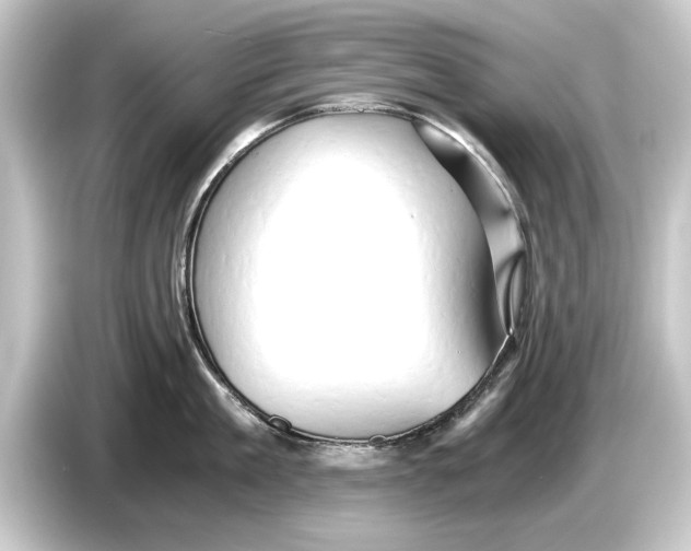 X0000084530909200703161606