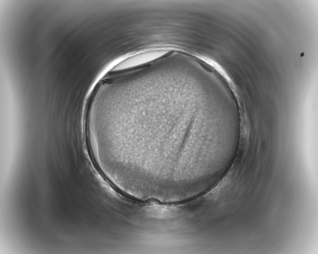 X0000084530910200703161606