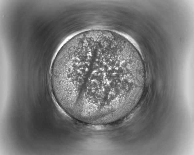 X0000084530911200703161606