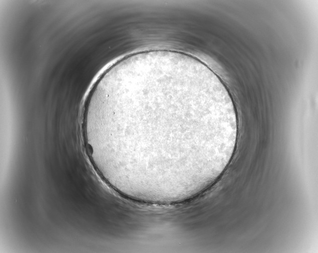 X0000084530912200703161606