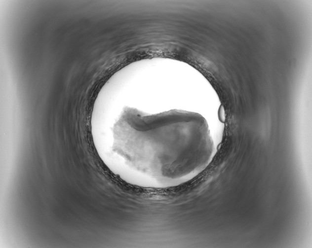 X0000084530913200703161605