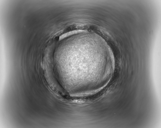 X0000084530914200703161605