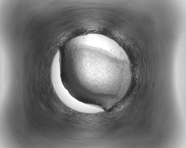 X0000084530916200703161605