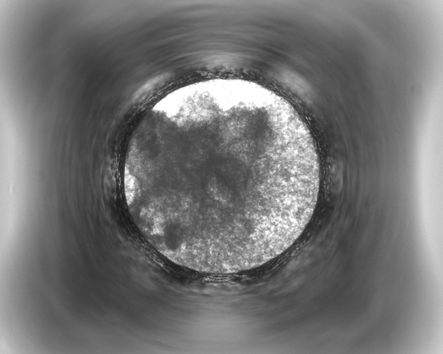 X0000084530918200703161605