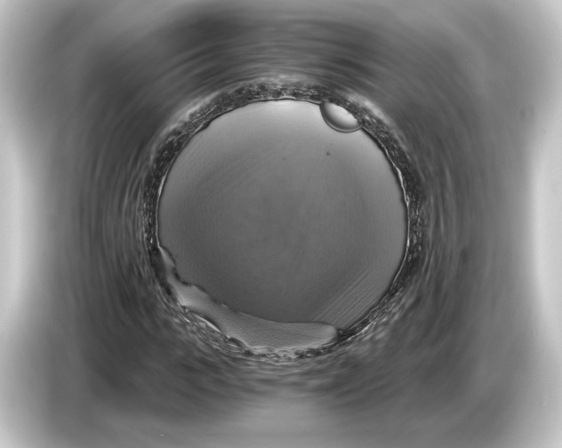 X0000084530919200703161605