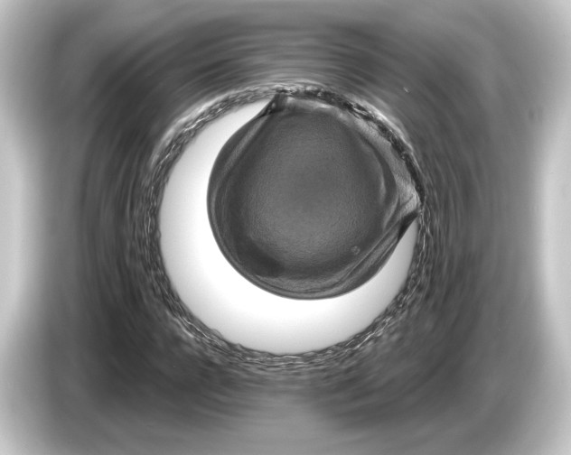 X0000084530920200703161605