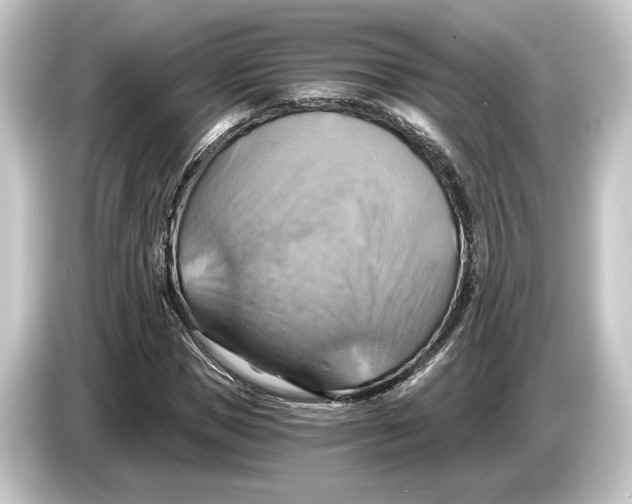 X0000084530921200703161605