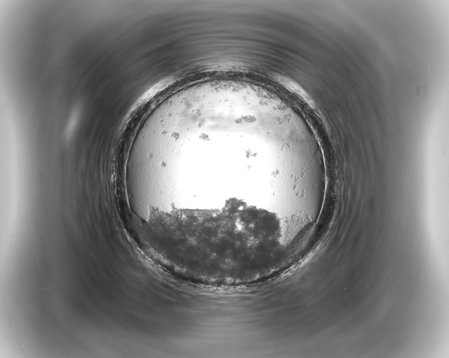 X0000084530922200703161605