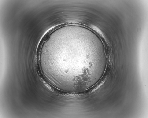 X0000084530924200703161605