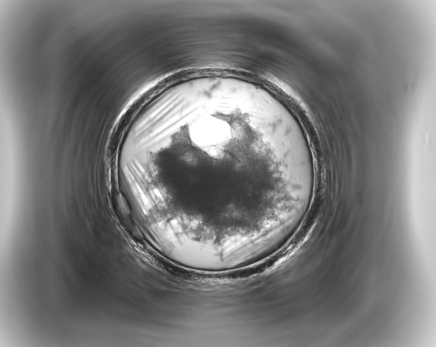 X0000084530925200703161605