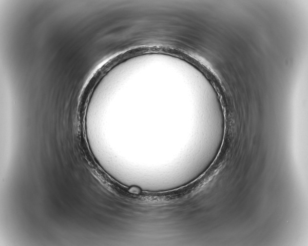 X0000084530927200703161605