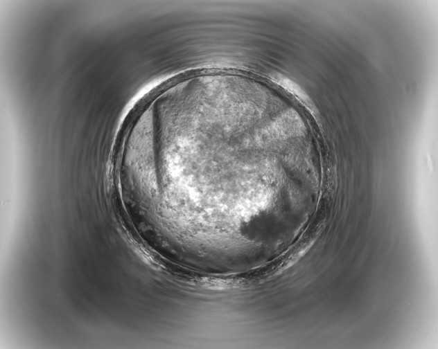 X0000084530928200703161605