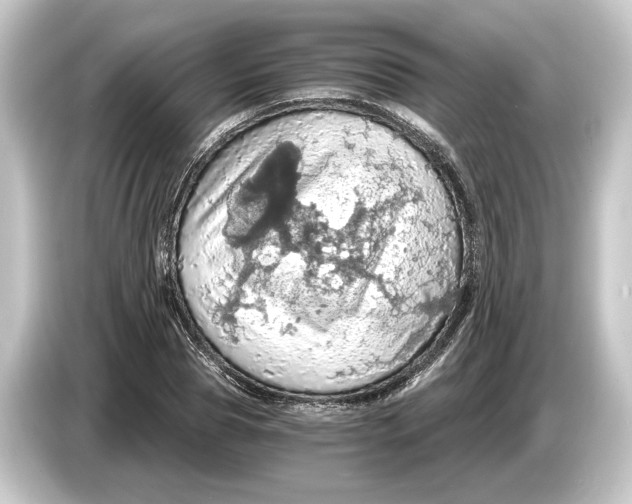 X0000084530929200703161605