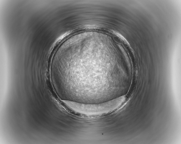 X0000084530930200703161605