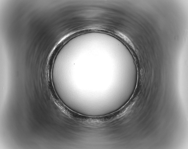 X0000084530931200703161605