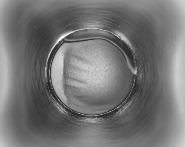 X0000084530932200703161605