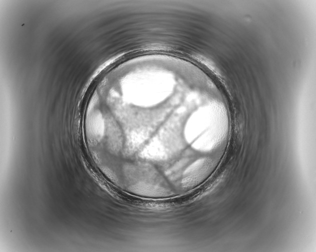 X0000084530933200703161605