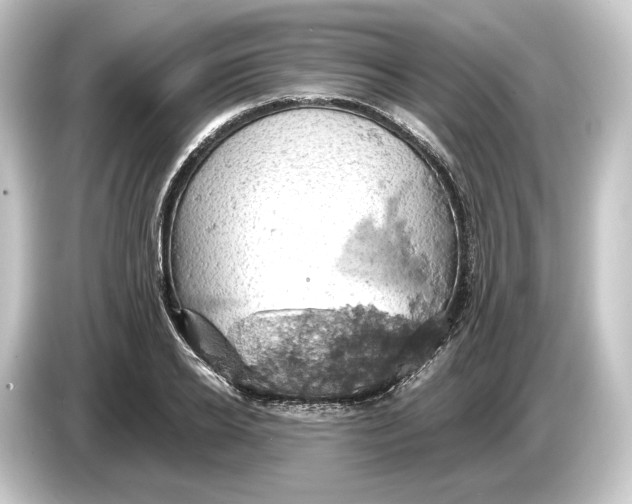 X0000084530934200703161605