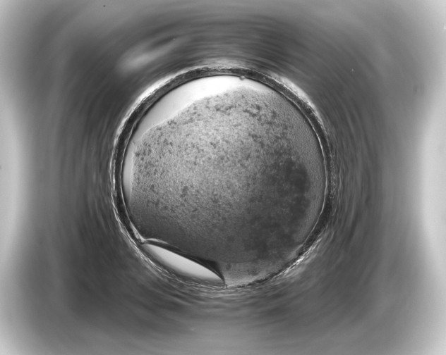 X0000084530935200703161605