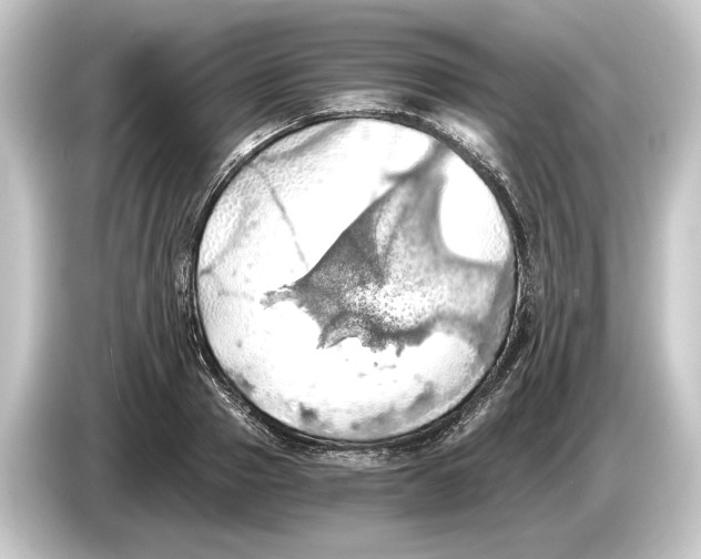 X0000084530937200703161605