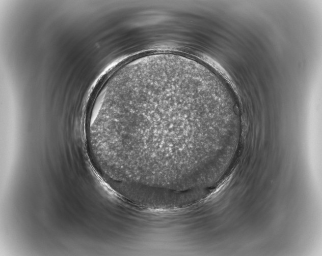 X0000084530939200703161605