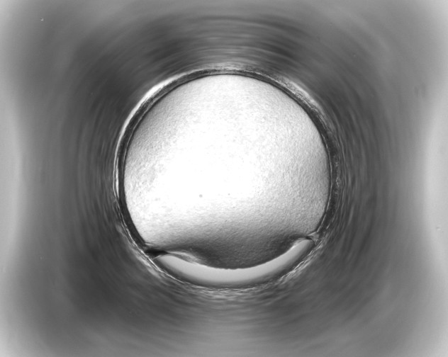 X0000084530940200703161605