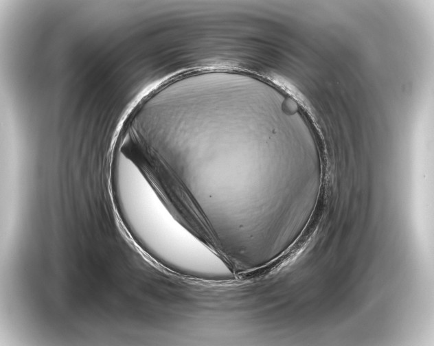 X0000084530941200703161605