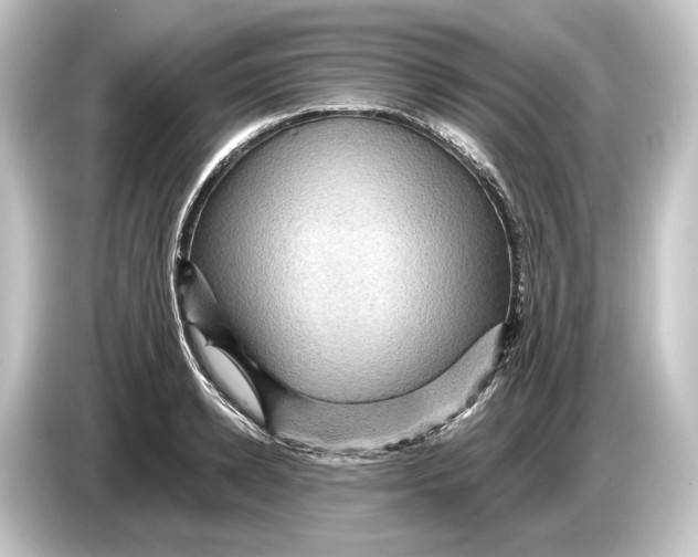 X0000084530942200703161605