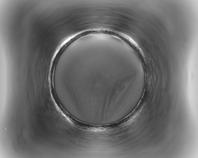 X0000084530943200703161605