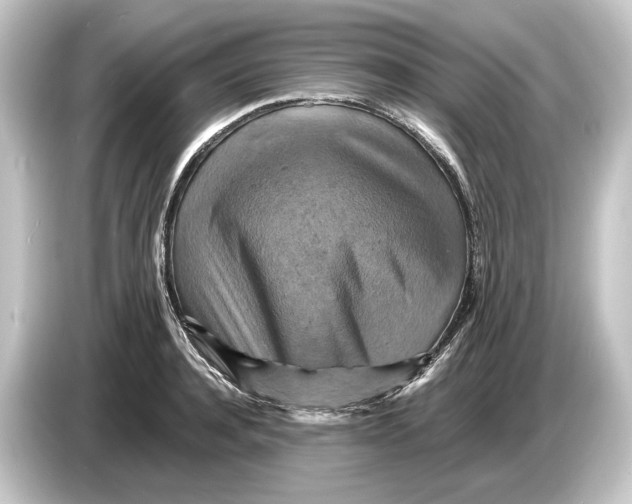 X0000084530944200703161605