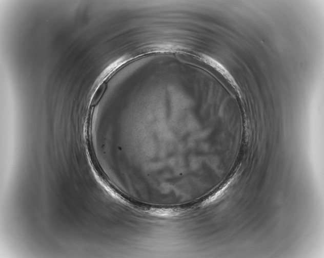 X0000084530946200703161605