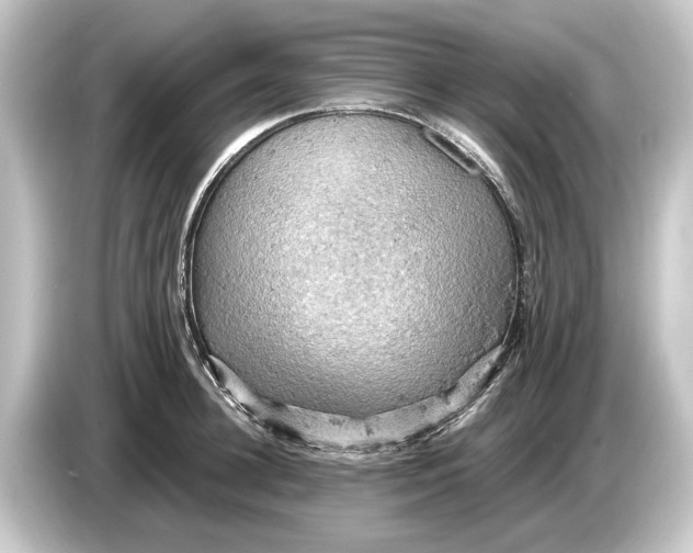 X0000084530948200703161605