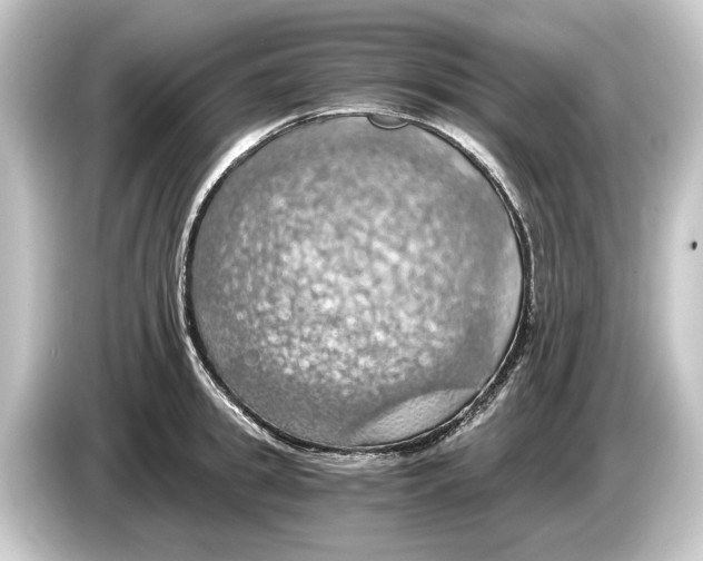 X0000084530949200703161605