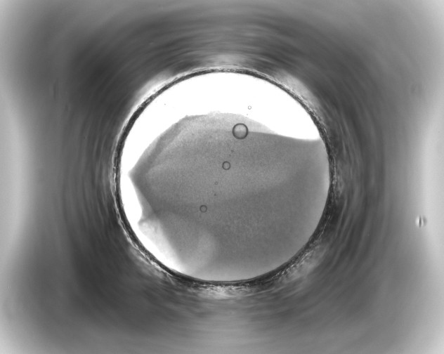 X0000084530950200703161605