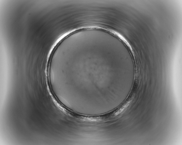 X0000084530951200703161605